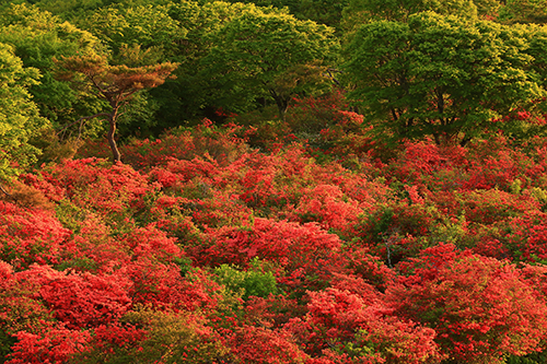 室根山